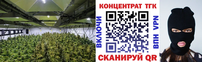 shop какой сайт  Ленинск  ТГК концентрат 